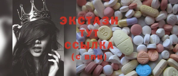 ECSTASY Богородицк