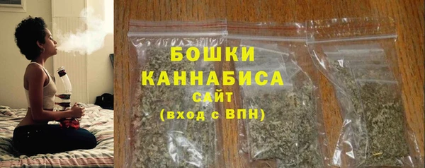 ECSTASY Богородицк