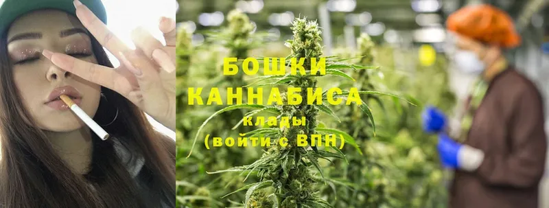 Каннабис OG Kush  купить наркоту  Собинка 